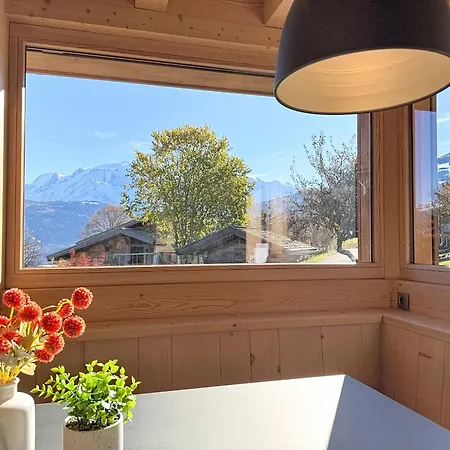 Duplex Neuf Avec Terrasse Face Au Mont Blanc, 3 Et Mezzanine, A 3 Km Du Centre De - Fr-1-560-65 *